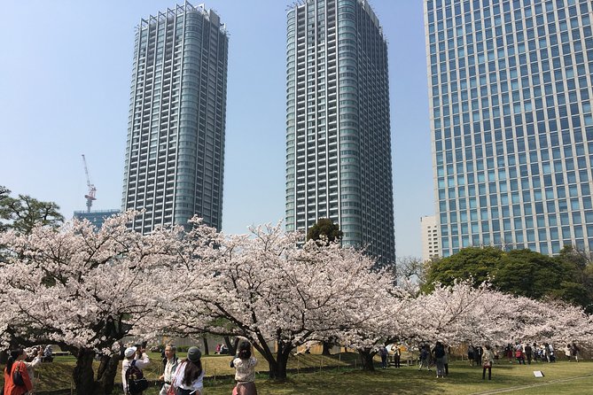 Cherry Blossom Tour in Tokyo - Traveler Experiences and Reviews