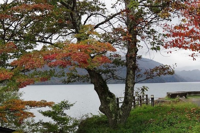 Daytrip to Nikko From Tokyo With Local Japanese Photograher Guide - Pricing and Booking Information