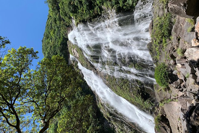 Discovery of Yakushima - Tour Details