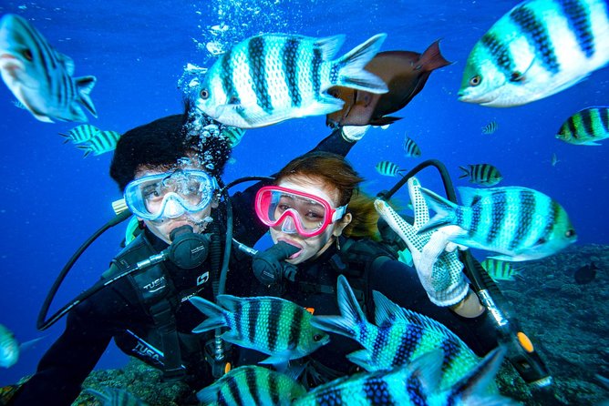 Experience Diving & Banana Boat by Boat - Booking and Cancellation Policy