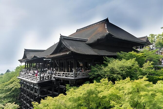 From Osaka: 10-hour Private Custom Tour to Kyoto - Customer Reviews