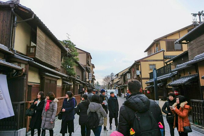 Full Day Guided Tour to Kyoto and Nara From Osaka - Accessibility Features