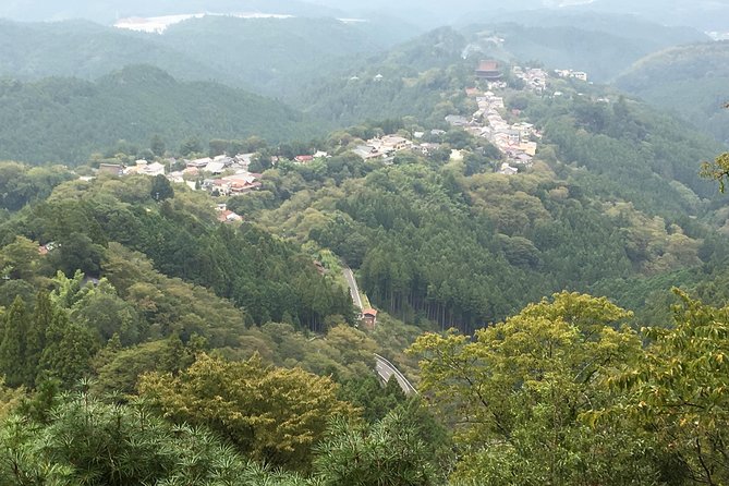 Full-Day Private Guided Tour in a Japanese Mountain: Yoshino, Nara - Pricing and Booking Information