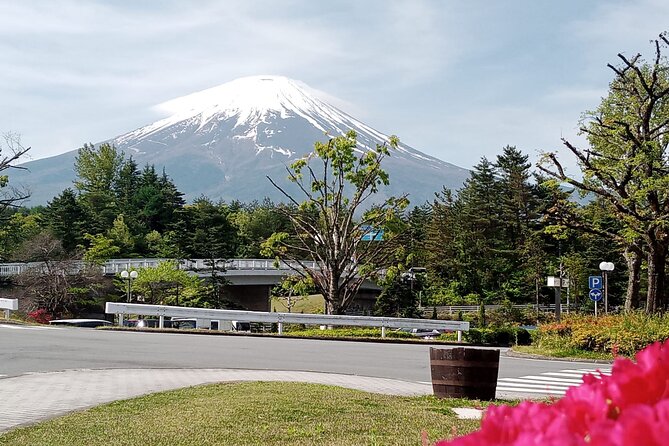 Full-day Private Mount Fuji Tour by Premium Car - Pricing and Booking Information