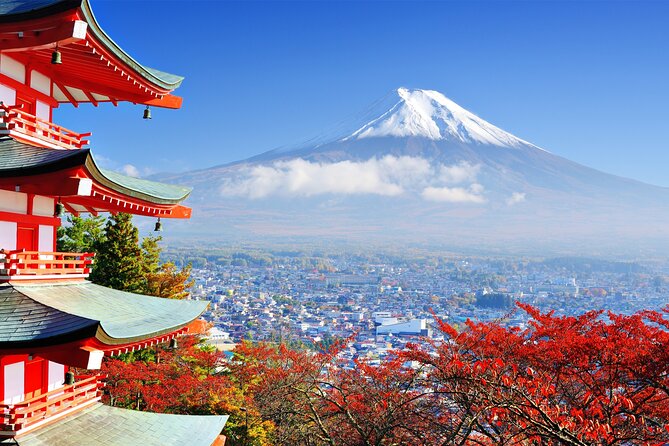 Full Day Private Tour in Mt. Fuji and Hakone - Customer Reviews and Testimonials