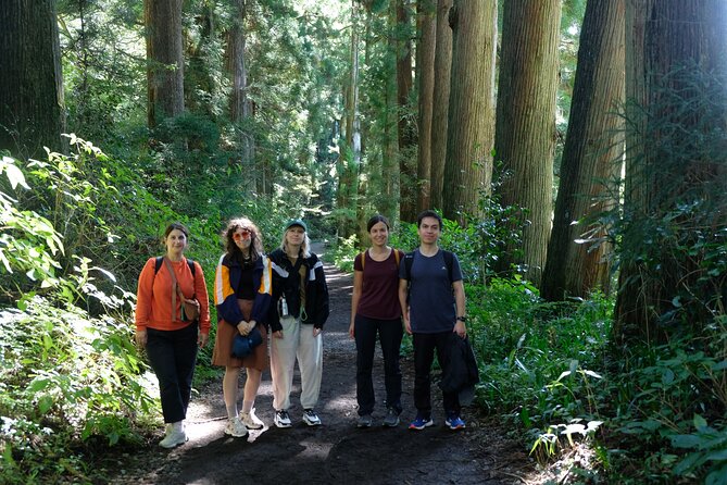 Half Day Forest Bathing in Hakone Geopark - Guided Experience and Highlights