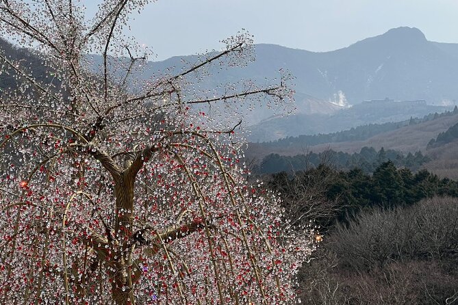 Highlight of Hakone: Private Tour With a Certified National Guide - Attractions and Activities