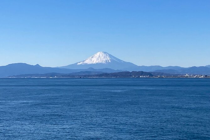 Kamakura & Enoshima 1 Day Bus Tour From Tokyo and Yokohama - Pricing Details