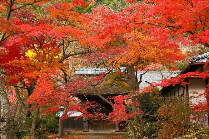 Kamakura Private Photoshoot Tour ( Optional Kimono Wearing ) - Accessibility and Participant Info