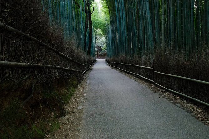 Kyoto Bamboo Forest & Golden Pavilion Bike Tour - Cancellation Policy