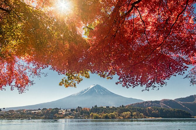 Lake Kawaguchi From Tokyo Bus Ticket Oneway/Roundway - End Point Location