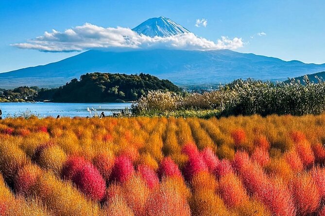 Mt Fuji and Hakone Private Day Tour With English Speaking Driver - Reviews and Traveler Experiences