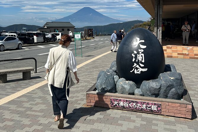 Mt.Fuji & Hakone Tour, From/To Tokyo, Yokohama, Odawara, up to 12 - Booking Process