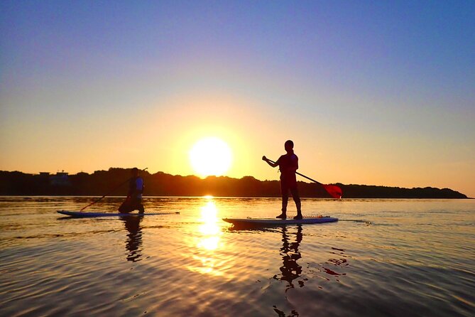 [Okinawa Iriomote] Sunrise SUP/Canoe Tour in Iriomote Island - Reviews and Ratings