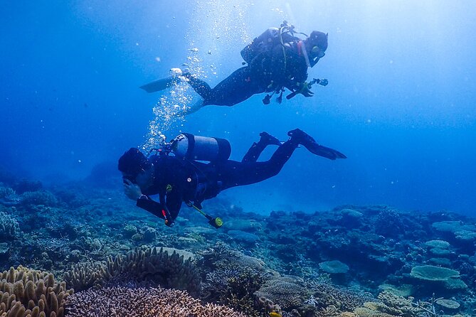 Okinawa Scuba Diving for Certified Divers (3 Boat Dives + Lunch) - Meeting and Ending Points