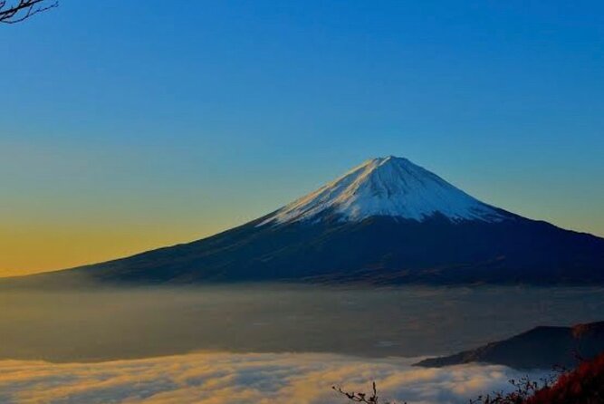 Private Mount Fuji and Hakone City Tour From Tokyo - Reviews and Experiences