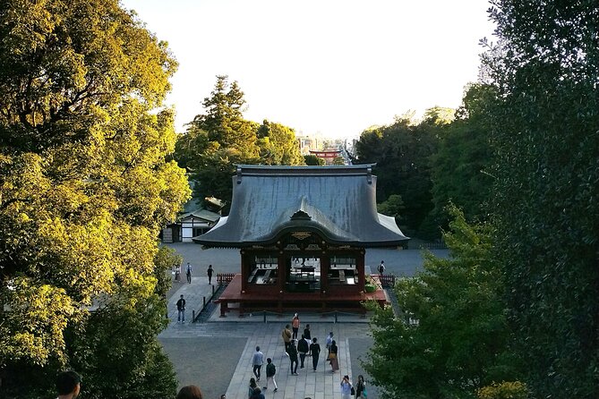 Private Tour From North Kamakura Temples & Shrine - Inclusions and What to Expect