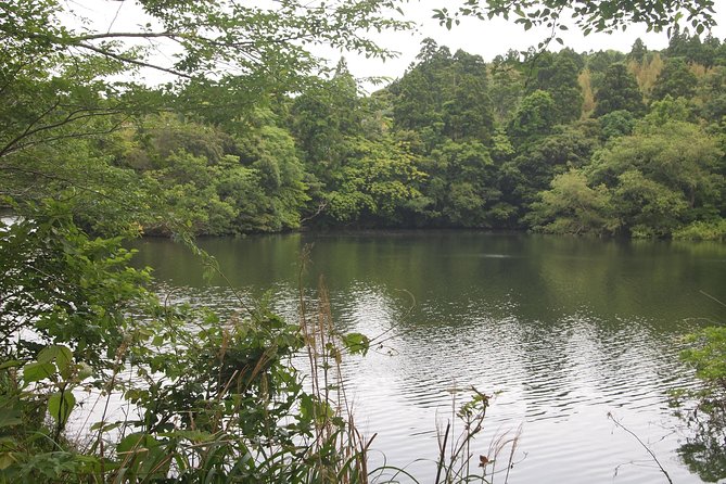 Rural Japan Cycling Tour to the Rich Nature Area in Ichinomiya - Traveler Reviews and Experiences