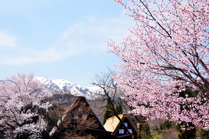 Shirakawa-Go From Nagoya One Day Bus Self-Guided Tour - What to Expect on the Tour