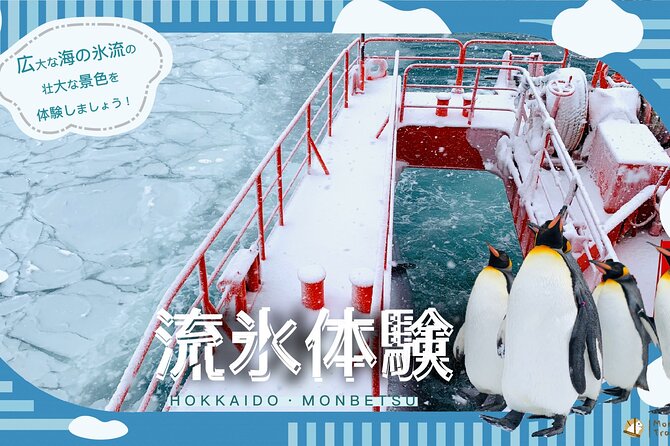 2 Day Tour to Icebreaker Mombetsu and Asahiyama Zoo in Hokkaido - Accessibility and Restrictions