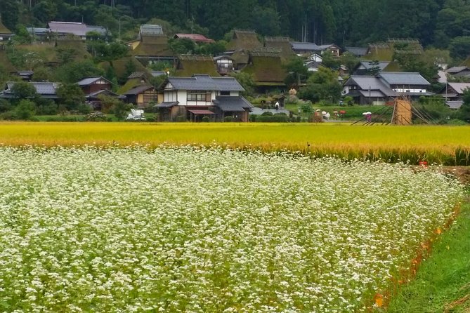 2 Days Kyoto Miyama Bike Tour Self Guided - Requirements for Participants