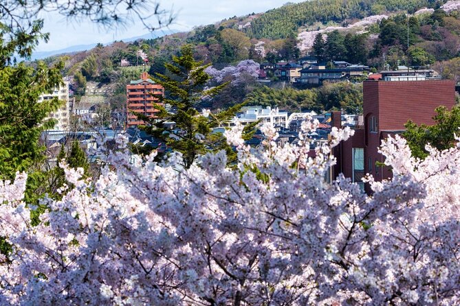 4 Hour Unique Kanazawa Cherry Blossom Sakura Private Experience - Directions and Meeting Information