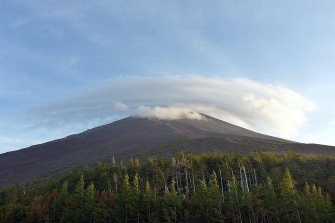 Bike Down Mount Fuji Tour - Pricing and Group Size Variations