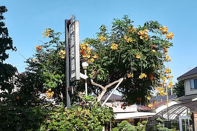 Bonsai Museum & Bonsai Experience - Accessibility and Health Considerations