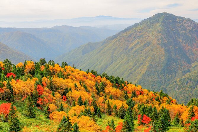 From Takayama: Alpine Splendor - Shinhotaka Ropeway and Kamikochi - Whats Included in the Tour