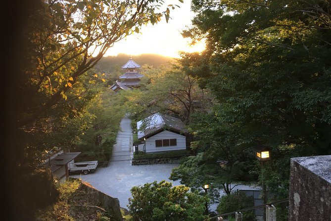 Full-Day Private Guided Tour in a Japanese Mountain: Yoshino, Nara - Accessibility and Requirements