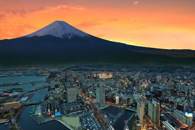 Full Day Private Tour in Mt. Fuji and Hakone - Accessibility Information