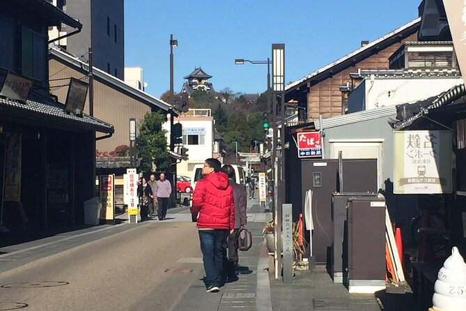 Half-Day Inuyama Castle and Town Tour With Guide - Pricing Information