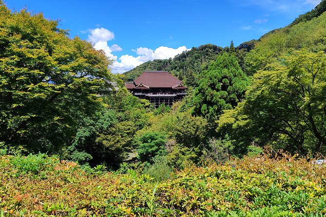 Hike Through Kyotos Best Tourist Spots - Refreshments and Breaks Provided