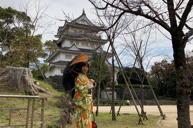 Kimono Dressing & Tea Ceremony Experience at a Beautiful Castle - Kimono Dressing Process