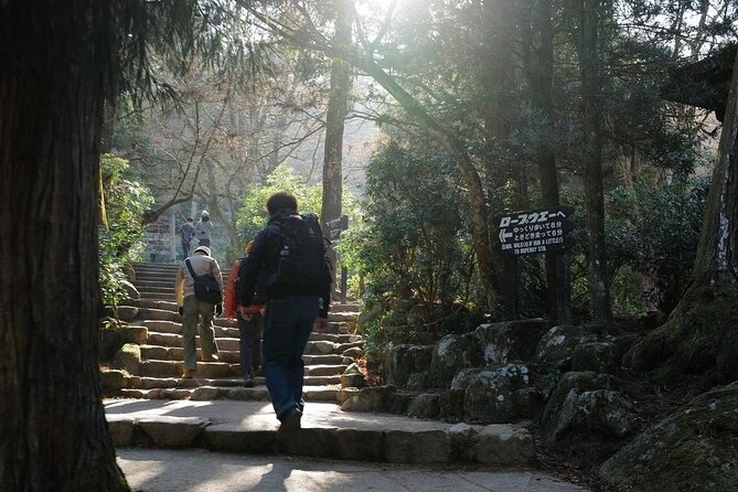 Miyajima Island Tour With Certified Local Guide - Booking Information and Pricing