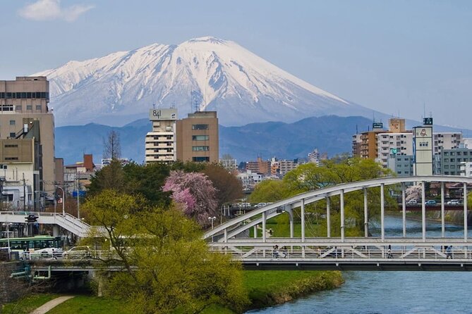 Morioka Full-Day Private Tour With Government-Licensed Guide - Pricing Structure