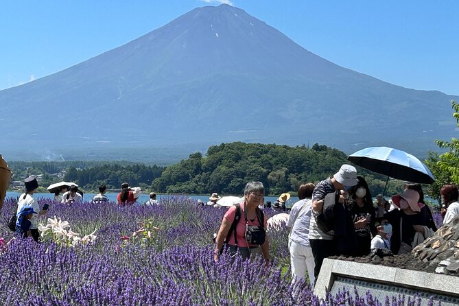 Mt.Fuji & Hakone Tour, From/To Tokyo, Yokohama, Odawara, up to 12 - Customer Reviews