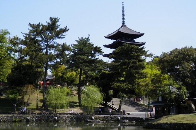 Nara Private Tour by Public Transportation From Osaka - Accessibility Features