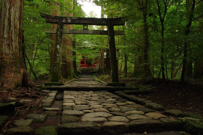 Nikko Custom Half Day Tour - Pricing and Reservation Process