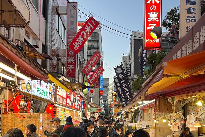 Private Half-Day Tour Colorful and Busy Street in Central Tokyo - Pricing and Payment Options