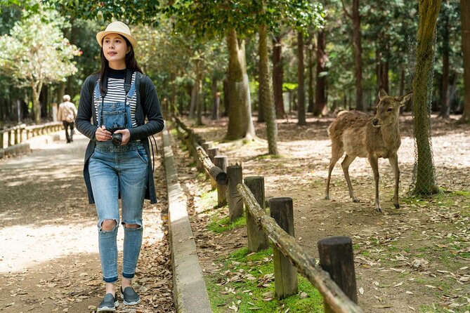 Private Journey in Nara's Historical Wonder - Customer Reviews and Ratings