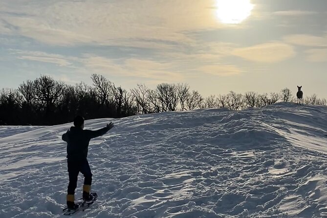 Private Snow Shoe Tour in Shiretoko National Park - Customer Reviews and Experiences