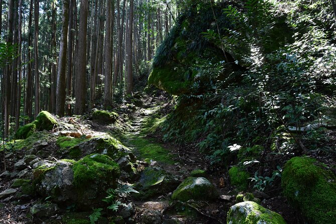 Private Spiritual Hike in Hidakamura With Mountain Monk - Cancellation and Refund Policy