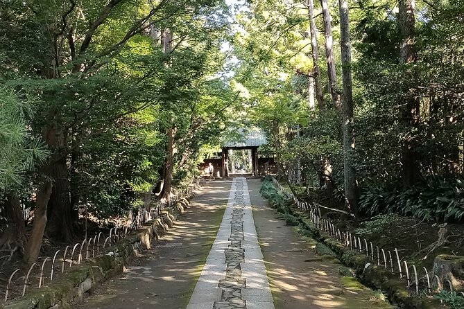 Private Tour From North Kamakura Temples & Shrine - Health and Accessibility Considerations