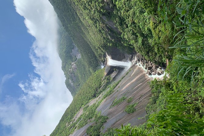 Discovery of Yakushima - Cancellation Policy