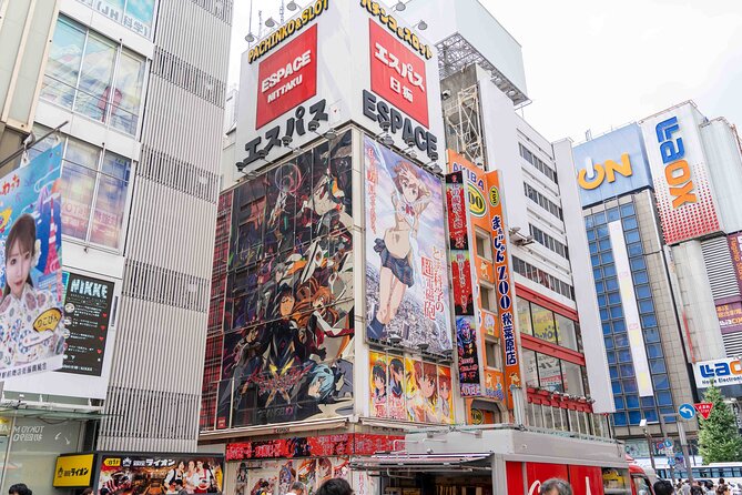 Exclusive Experience: Tailored Anime & Culture Tour in Akihabara - Accessibility Information