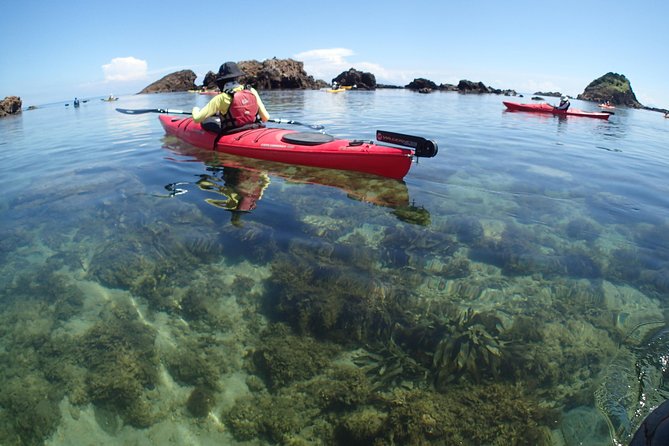 First Seakayak Tour - Pricing and Cancellation Policy