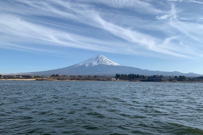 Full-day Private Mount Fuji Tour by Premium Car - Accessibility Features