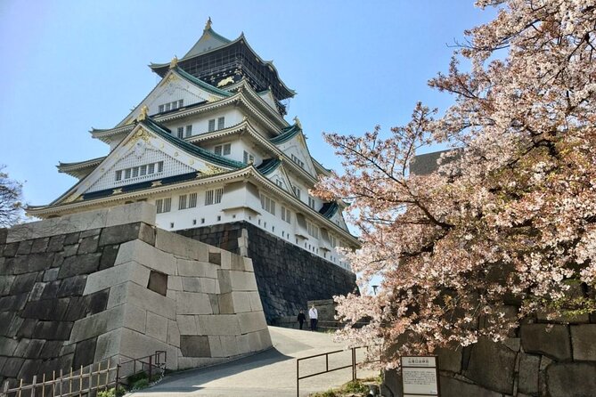 Half-Day Private Guided Tour to Osaka Castle - Customer Reviews