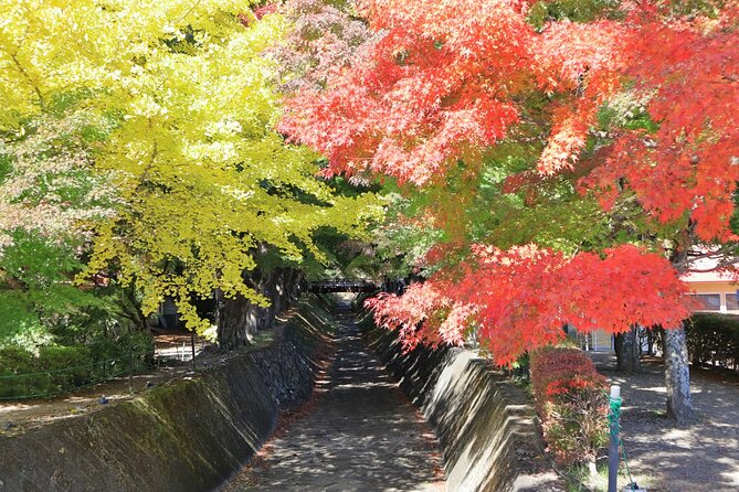 Lake Kawaguchi From Tokyo Bus Ticket Oneway/Roundway - Customer Reviews